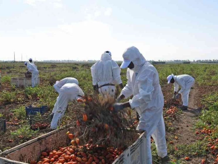 Braccianti maltrattati nel Casertano, si indaga sugli imprenditori