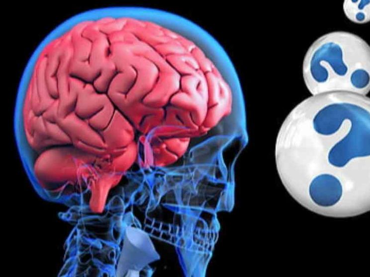 Cervelli femminili e maschili: uguali o diversi? Ecco la risposta, con rischio