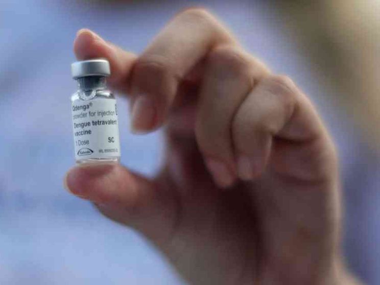 Ospedali al collasso in Brasile per la Dengue. Le contromisure in Italia