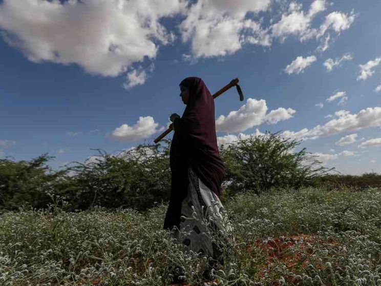Investimenti green, solo l’Europa resiste alla crisi