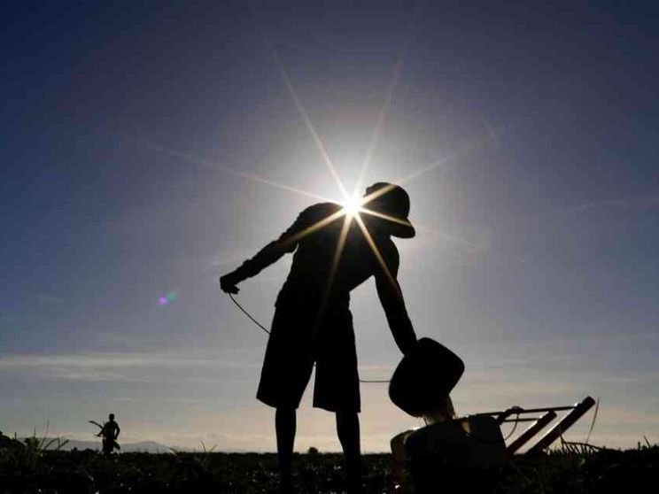 Quest'anno ci sarà un caldo record per colpa di “El Nino”