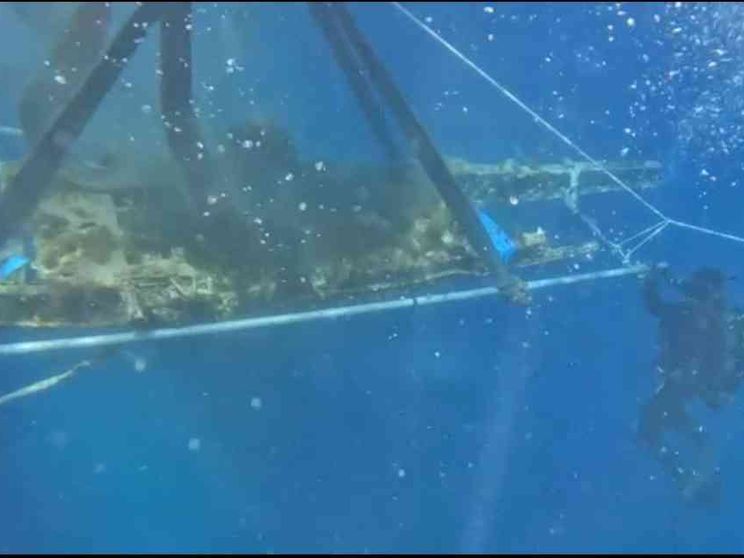 Dal mare di Pantelleria riemerge l’aereo dell’asso Alvise Andrich