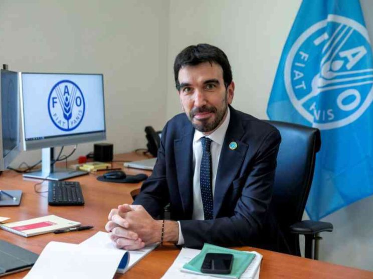 «A Gaza gli aiuti dall'alto non bastano, servono i corridoi»