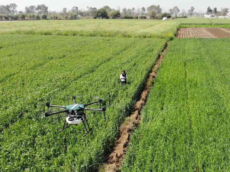 Campi rigenerati: oltre al biologico c'è di più