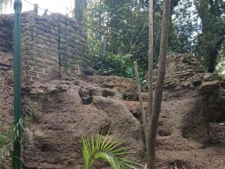 Nuove scoperte a Villa Floridiana svelano la storia del Vomero