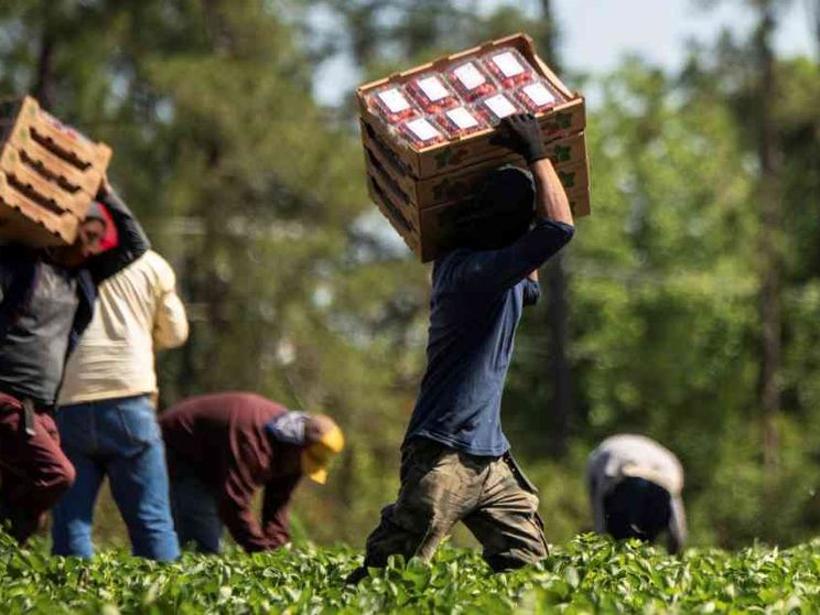 Oltre 200 miliardi di profitti l'anno: chi si arricchisce col lavoro forzato
