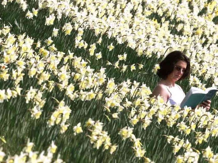 Bentornata alla primavera, che non fa più notizia (e non è mai maledetta)