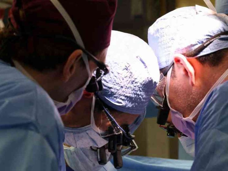 Reni da maiali: cos’è successo a Boston, quali prospettive si aprono