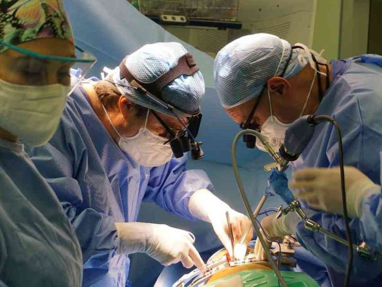 Xenotrapianti, una frontiera che si avvicina