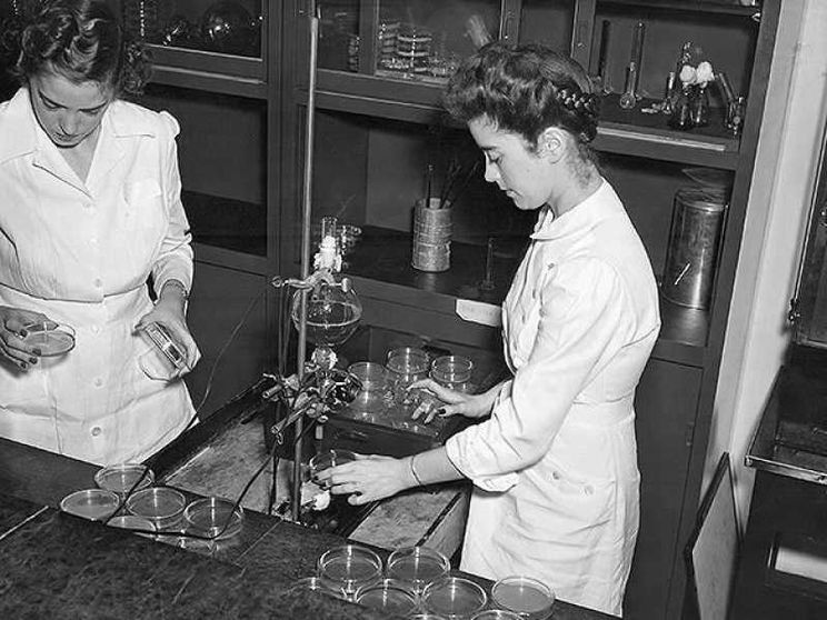 La storia delle donne che hanno allungato la vita all’uomo
