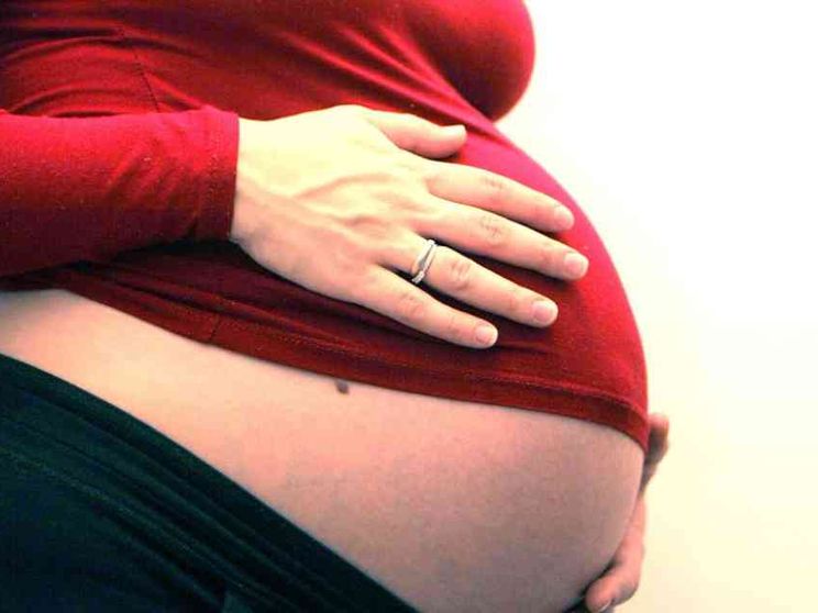 Maternità surrogata, a Roma da tutto il mondo per metterla al bando