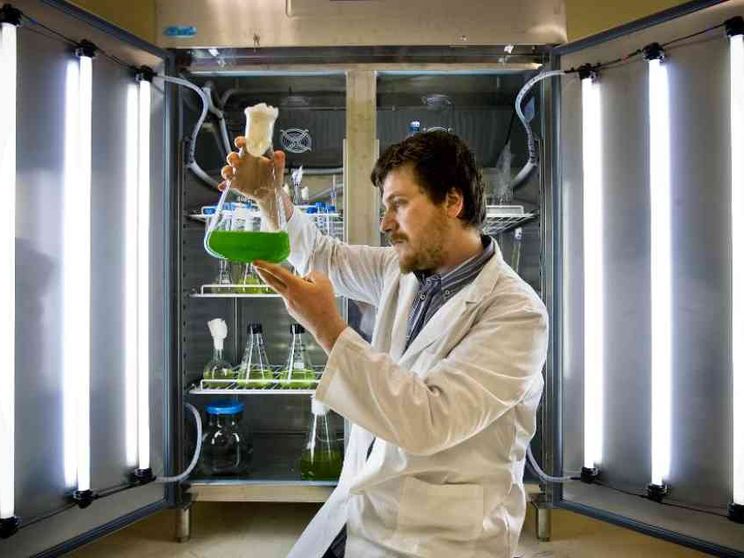 L'Europa vuole aziende più verdi e attente al sociale