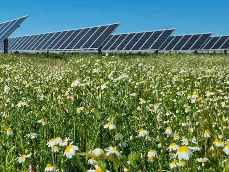 Studio Ambrosetti: «Il 77% delle imprese in difficoltà coi bandi Pnrr»