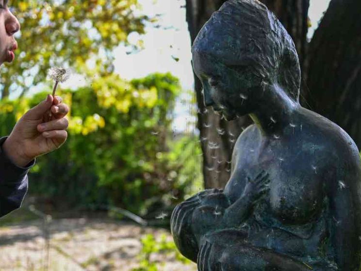 La statua della donna che allatta, Sala: sia collocata vicino alla Mangiagalli