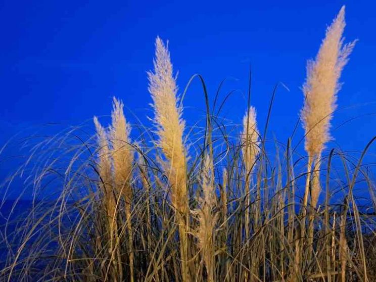 La preghiera, luce per l'anima al buio. L'esempio di Bonhoeffer