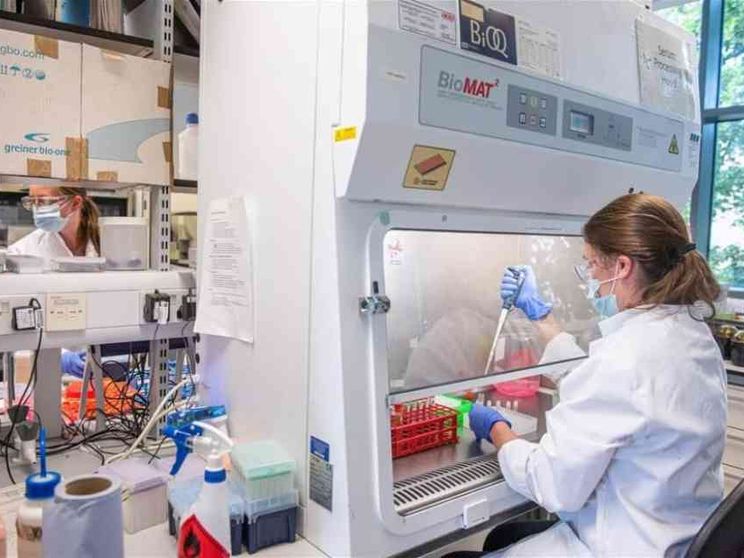 Cancro del pancreas: effetti sorprendenti da farmaco mirato più immunoterapia