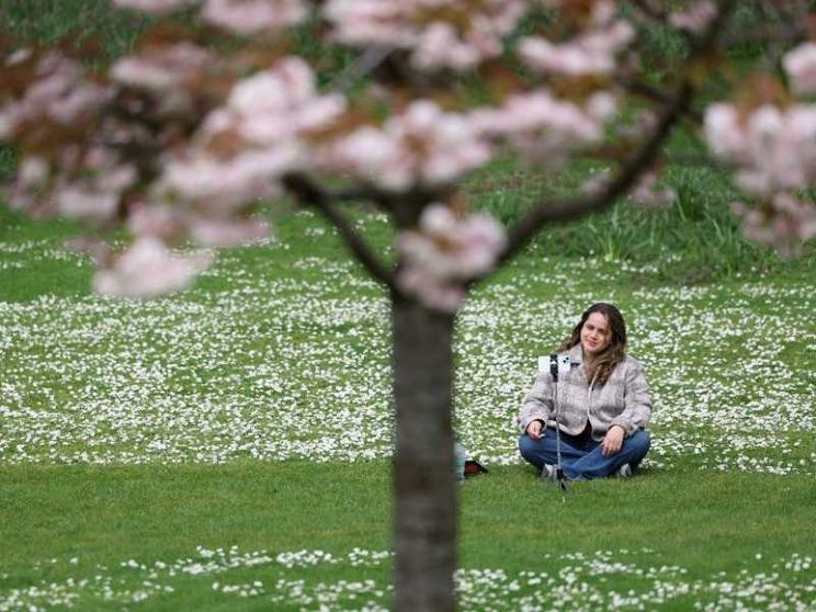 «Disforia di genere, terapie senza prove. Ora spazio alla psicologia»