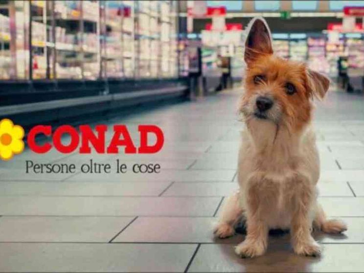 La tv come regno della retorica