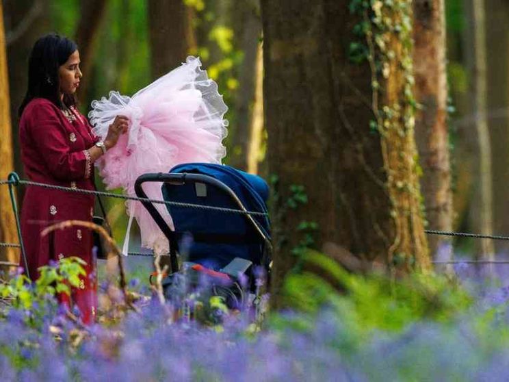 La sterilità non è più una "condanna": 50% di successi con la medicina riparativa