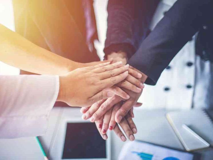 «Creare valore per tutti»: Nativa aiuta le imprese a essere rigenerative