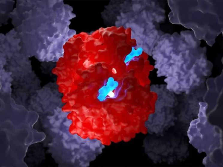 Beta talassemia e anemia falciforme, con le “forbici molecolari” si può guarire