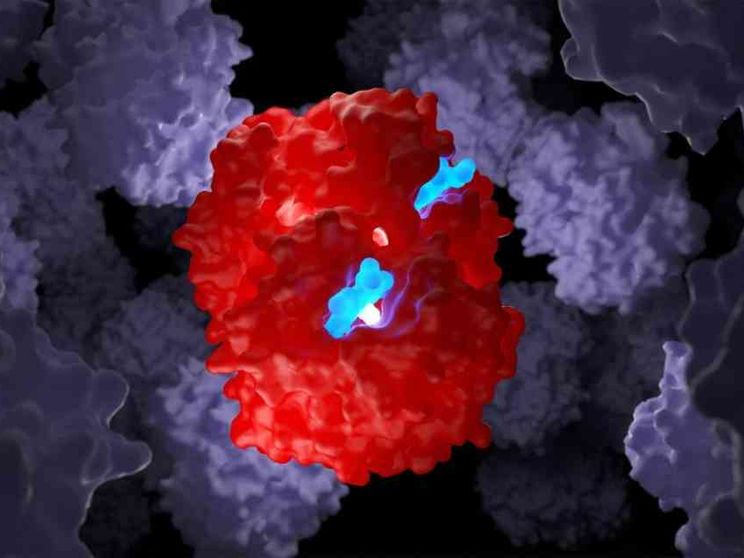 Beta talassemia e anemia falciforme, con le “forbici molecolari” si può guarire