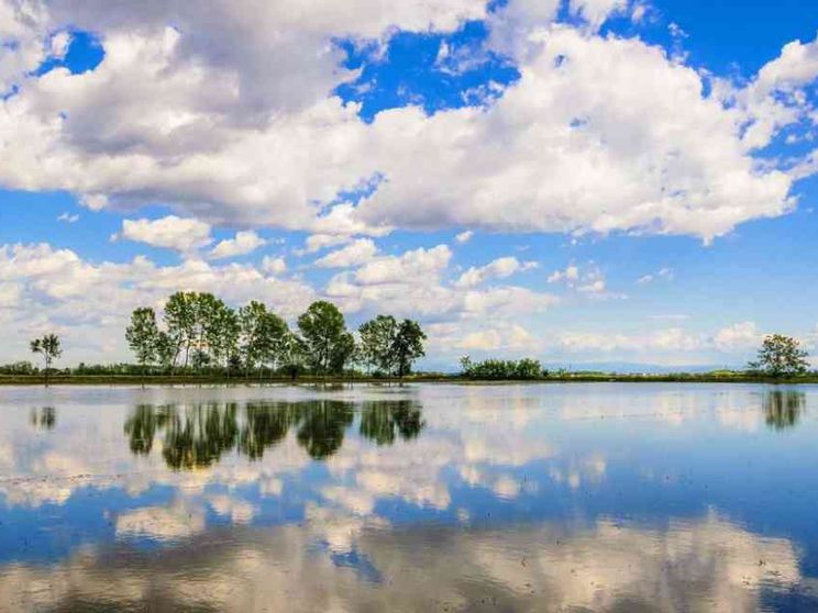 La rivincita della campagna: il fascino sempreverde di Lomellina e Oltrepò