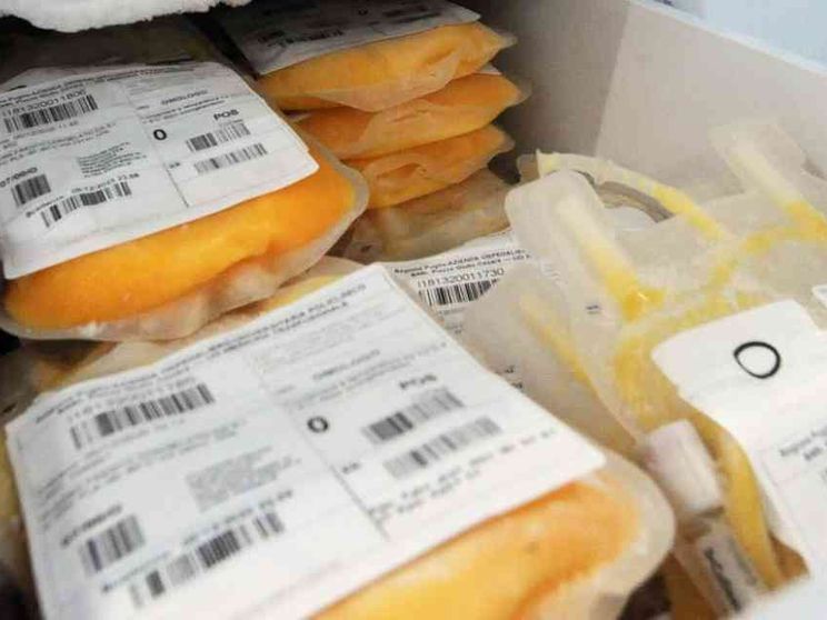 Sangue: record storico di donazioni. E allora perché c'è carenza di plasma?