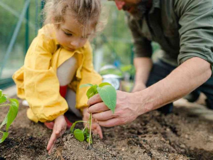 Gli italiani rinunciano ai figli perché sono più in ansia per il clima