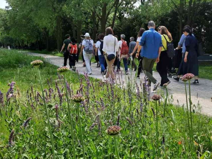 Social Walking, la rete si fa camminando