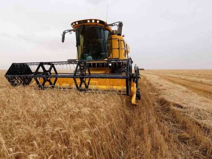 Con i prezzi alti di mais, grano e riso le migliori aziende italiane rischiano