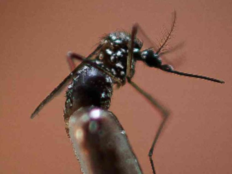 Genova, due nuovi casi. Ma gli esperti: no agli allarmismi