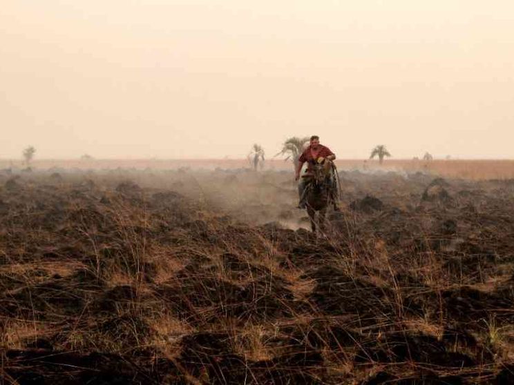 El Niño e La Niña in altalena non sono una buona notizia per il cibo