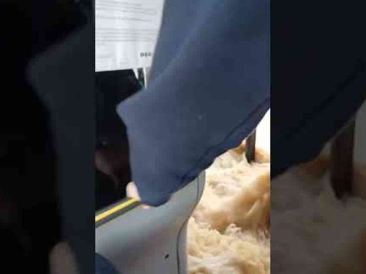 Nubifragio sulla Lombardia: esondano Lambro e Seveso, paura a Gessate