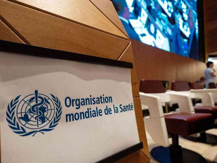 Verso un vaccino contro l’influenza aviaria. «Preveniamo una nuova pandemia»