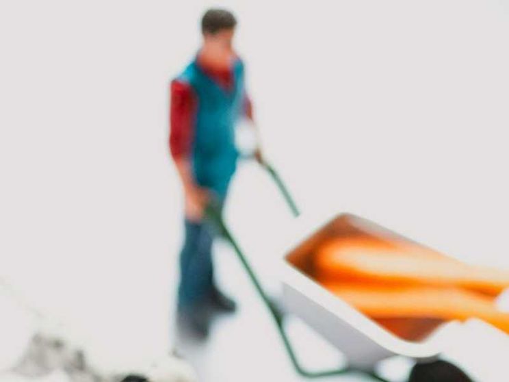 Educare al recupero per andare all'essenziale