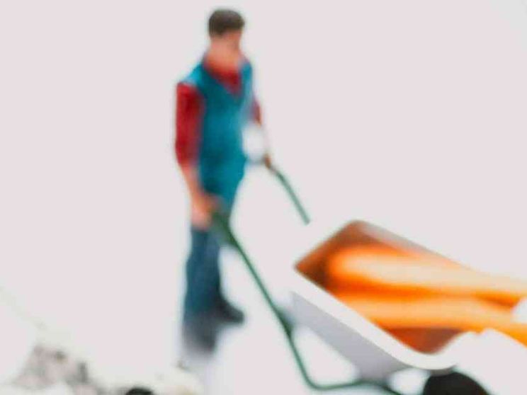 Educare al recupero per andare all'essenziale