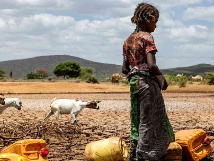 Siccità e alluvioni, 50 milioni rischiano di morire di fame nel Corno d'Africa