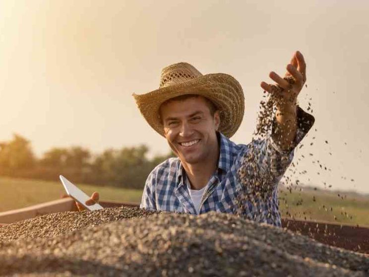 Circa 440mila richieste di profili stagionali