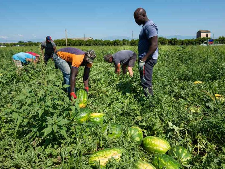 Colletti bianchi e false pratiche, ecco lo schema delle frodi