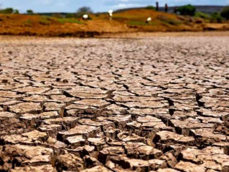 Oggi la Giornata dell'ambiente. La sfida di fermare il deserto