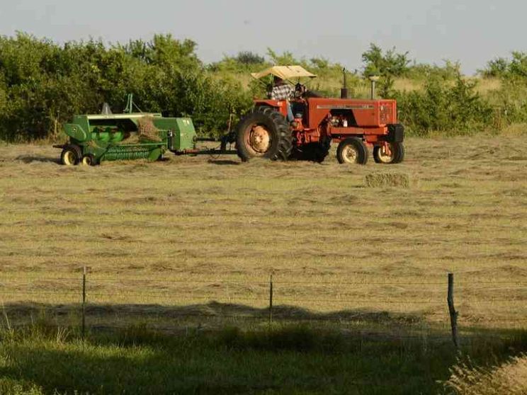 Campi e biodiversità: che cosa c'è nei programmi dei partiti