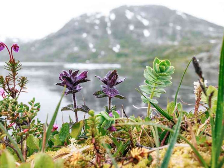 Ritorno in terra alta: anche la montagna è in transizione