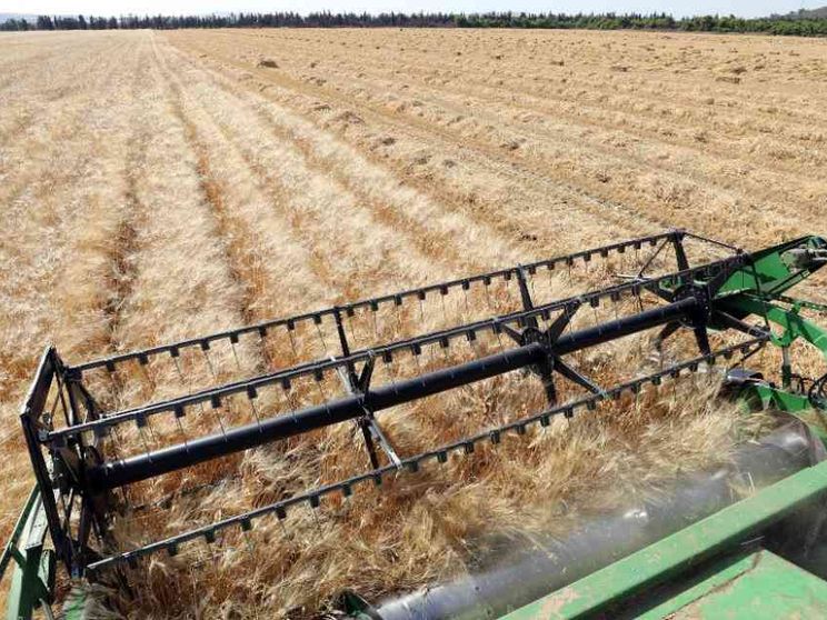 Sale per il terzo mese consecutivo l'indice Fao