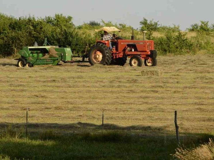 Dalla pace all'ambiente fino al lavoro: i programmi per l'Europa