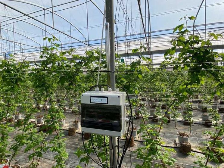 «Plantvoice», arriva il sensore che riesce a far parlare le piante