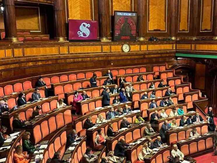 Al via al Senato la legge per rendere la surrogata reato universale