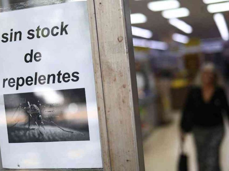 Quel che c'è da sapere sulla febbre Oropouche che è arrivata in Veneto