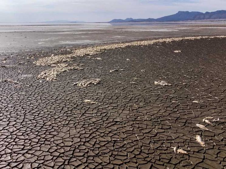 Sostenibilità, il mondo in ritardo