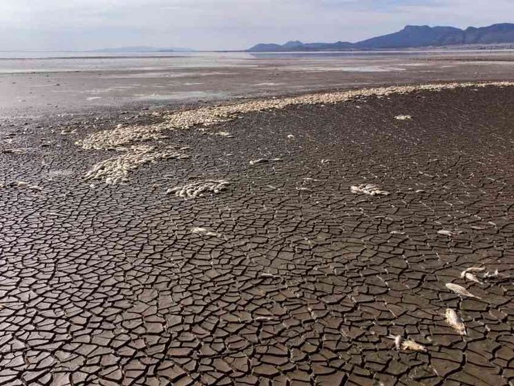 Sostenibilità, il mondo in ritardo